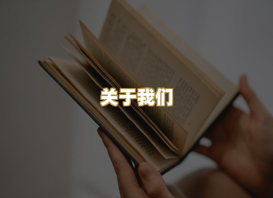 关于我们